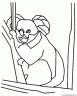 dibujo-de-koala-011