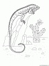 dibujo-de-lagartos-001