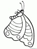dibujo-de-mariposa-001