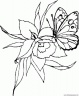 dibujo-de-mariposa-031