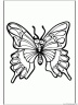 dibujo-de-mariposa-039