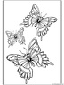dibujo-de-mariposa-040