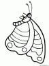 dibujo-de-mariposa-044