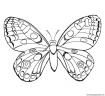 dibujo-de-mariposa-059
