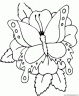 dibujo-de-mariposa-108