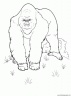 dibujo-de-gorila-002