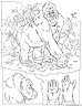 dibujo-de-gorila-005