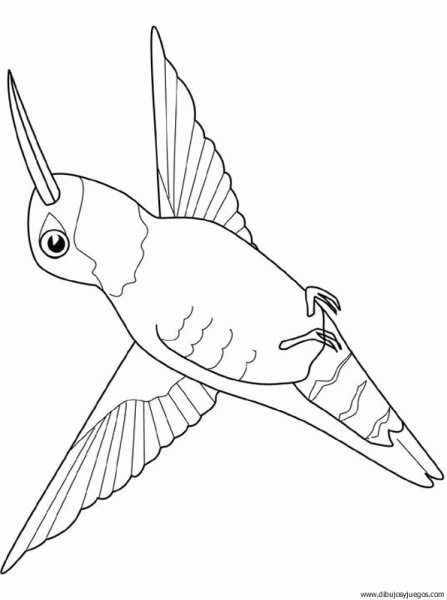 dibujo-de-colibri-003 | Dibujos y juegos, para pintar y colorear