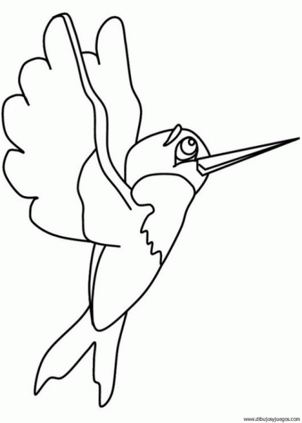 dibujo-de-colibri-004 | Dibujos y juegos, para pintar y colorear