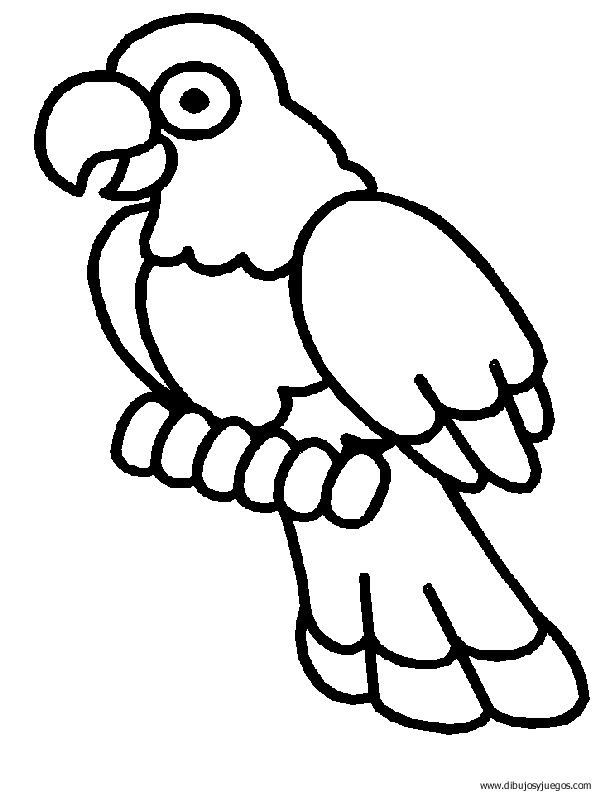 dibujo-de-loro-006.gif