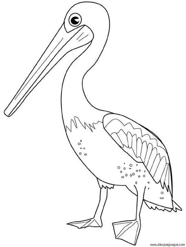 dibujo-de-pelicano-009.gif