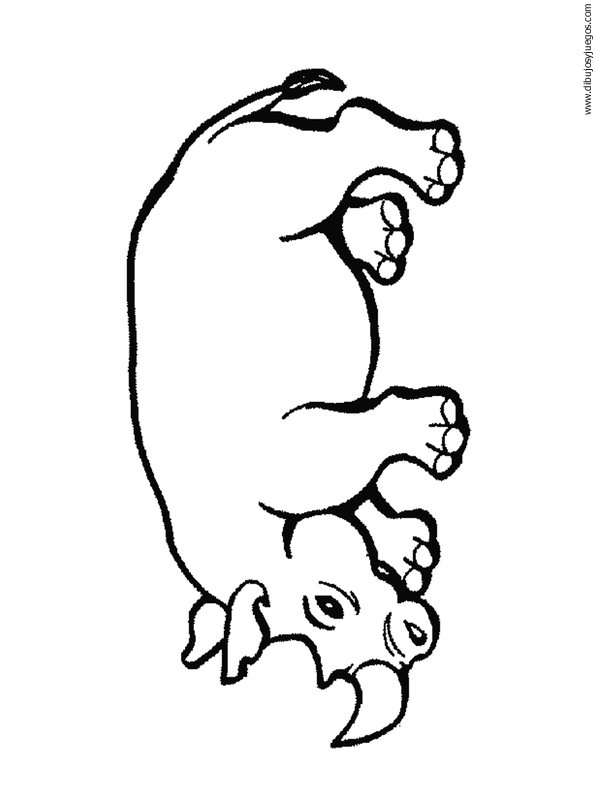 dibujo-de-rinoceronte-004.gif
