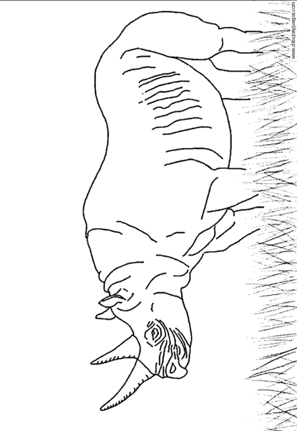 dibujo-de-rinoceronte-008.gif