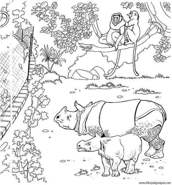 dibujo-de-rinoceronte-021.jpg