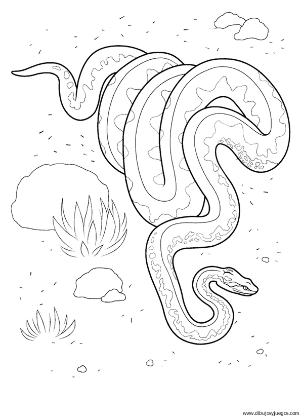 dibujo-de-serpiente-002.gif