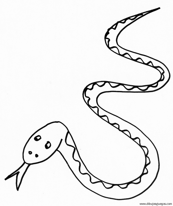 dibujo-de-serpiente-007.gif