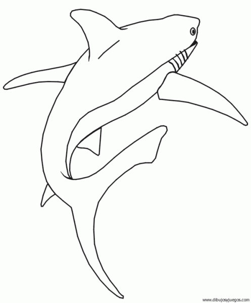 dibujo-de-tiburon-002.gif