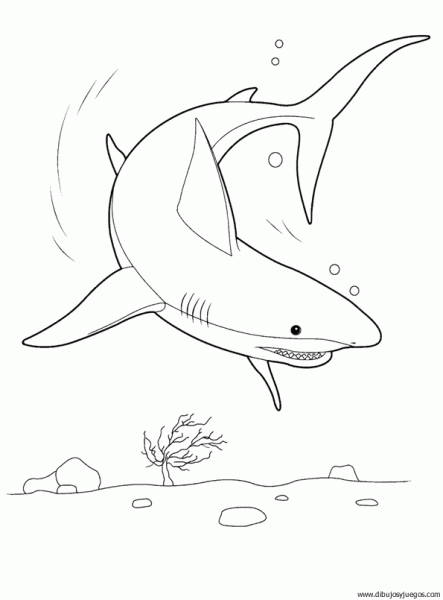 dibujo-de-tiburon-009.gif
