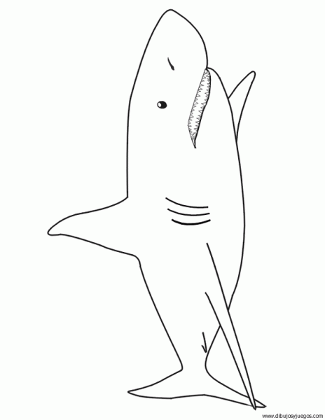dibujo-de-tiburon-018.gif