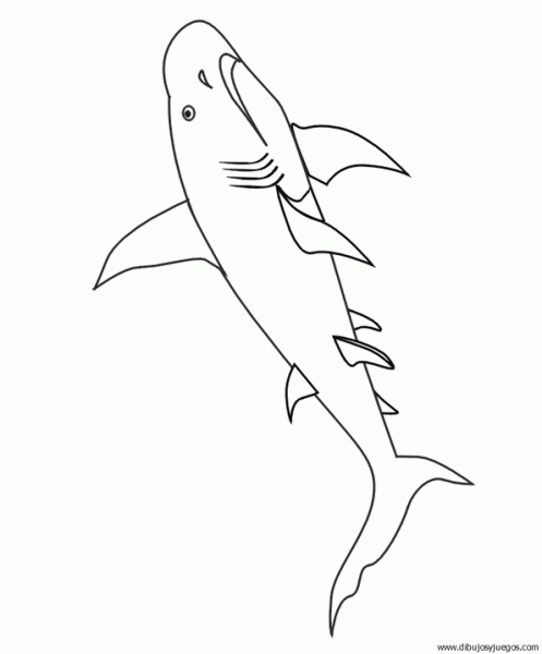 dibujo-de-tiburon-019.gif