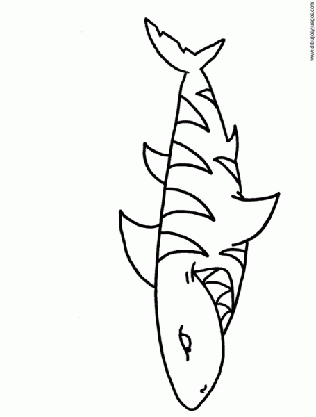 dibujo-de-tiburon-029.gif