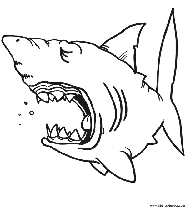 dibujo-de-tiburon-038.gif