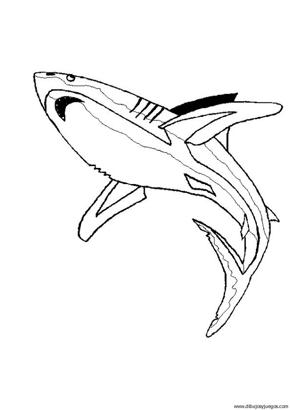dibujo-de-tiburon-044.gif