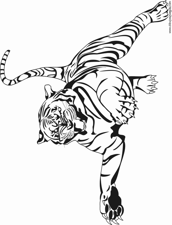 dibujo-de-tigre-024.gif