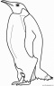 dibujo-de-pinguino-012