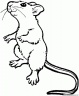 dibujo-de-raton-027