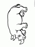 dibujo-de-rinoceronte-004