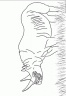 dibujo-de-rinoceronte-008