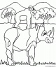 dibujo-de-rinoceronte-009