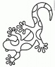 dibujo-de-salamandra-003