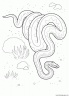 dibujo-de-serpiente-002