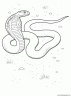 dibujo-de-serpiente-003