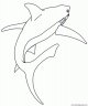 dibujo-de-tiburon-002