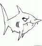 dibujo-de-tiburon-004