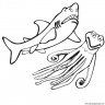 dibujo-de-tiburon-006
