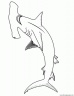 dibujo-de-tiburon-016