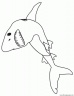 dibujo-de-tiburon-017