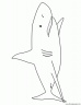 dibujo-de-tiburon-018