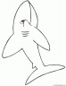 dibujo-de-tiburon-020