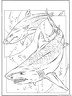 dibujo-de-tiburon-045