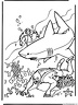 dibujo-de-tiburon-048