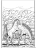 dibujo-de-caballo-002