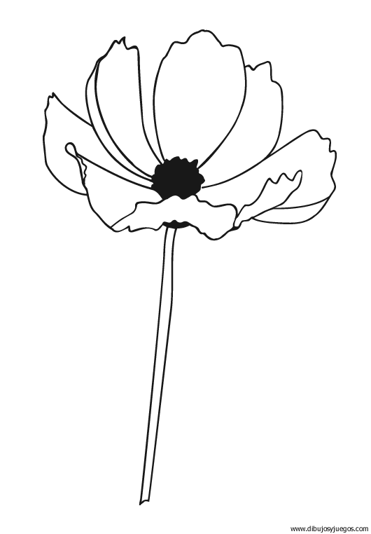 dibujo-flores-amapolas-012.gif