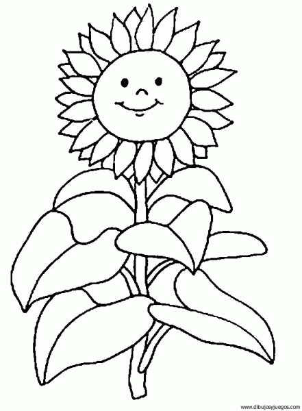 Dibujo Flores Girasoles 002 Dibujos Y Juegos Para Pintar Y Colorear