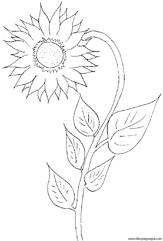 dibujo-flores-girasoles-005 | Dibujos y juegos, para pintar y colorear