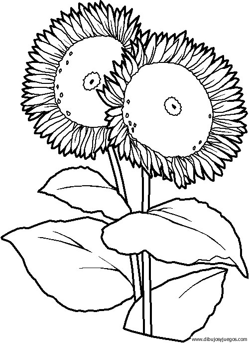 dibujo-flores-girasoles-007.gif